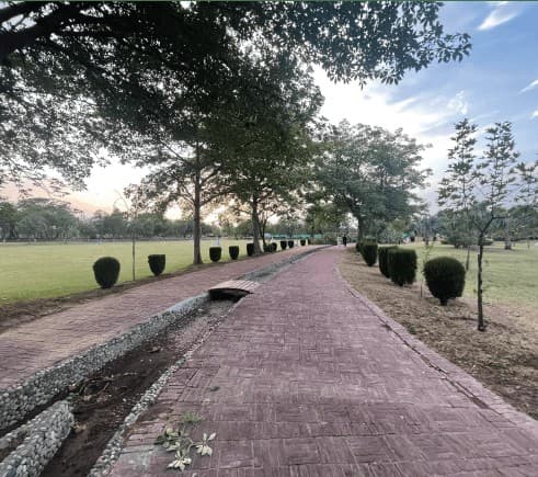 Calm tree-lined walkway in a nearby Rawalpindi park